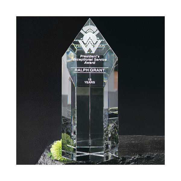 Crystal summit_award_5626